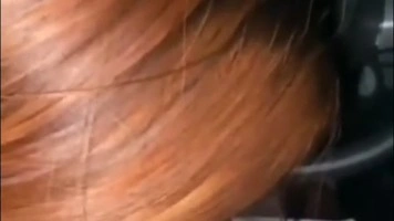 Bokep Ngentot – Bokep Indo Eksib Di Mobil Lanjut ML