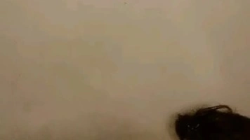 Bokep Indo Yolla Omek Meki Sampe Basah