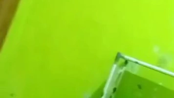 Dhila ML Di Masukin Dulu Pakai Timun