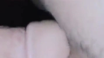 Tante Jilbabers Di Suruh Nungging Lepas CD Kena Doggy