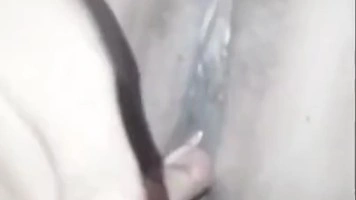 Bokep Indo Anya Hanisa Mulus Dientot Crot Basahi Bajunya